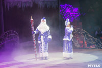 «Чудеса Новогодней Ёлки» ждут вас в Тульском цирке, Фото: 10