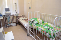 Инфекционное отделение Ваныкинской больницы в Туле, Фото: 7