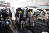 Конкурс профессионального мастерства среди операторов машинного доения коров, Фото: 27