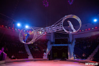 Звезды манежа в цирке, Фото: 40