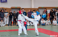 Соревнования по рукопашному бою в Щекино, Фото: 7