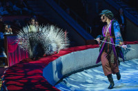 Шоу «Жар-птица», Фото: 11
