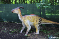 В Туле появился парк с интерактивными динозаврами, Фото: 17