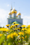 Цветущая Тула, Фото 37