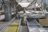 Как Тульская макаронная фабрика повысила производительность труда, Фото: 12