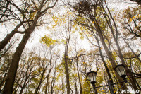 Платоновский парк, Фото: 10