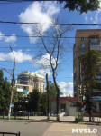 «Сушняк-2019 Тула». Городской хит-парад засохших деревьев, Фото: 215