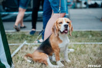 Всероссийская выставка собак в Туле, Фото: 50