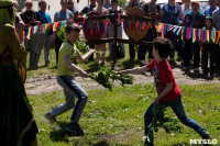 В Тульской области прошел фестиваль крапивы, Фото: 70