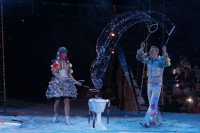В Тульском цирке прошла премьера аква-шоу, Фото: 57