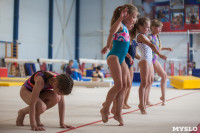Тульские гимнастки готовятся к первенству России, Фото: 27