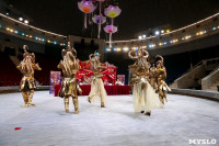 Грандиозное цирковое шоу «Песчаная сказка» впервые в Туле!, Фото: 22