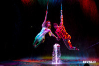 Шоу воды, огня и света, Фото: 74