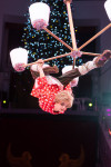 Успейте посмотреть шоу «Новогодние приключения домовенка Кузи» в Тульском цирке, Фото: 17