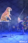 Цирковое шоу, Фото: 108