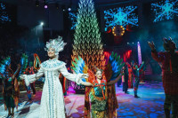 Шоу «Жар-птица», Фото: 14