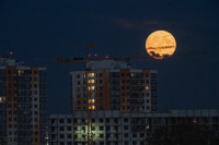 Осетровая Луна 2025, Фото: 17