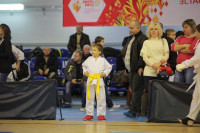 Соревнования на Кубок Тульской области по каратэ версии WKU. 29 декабря 2013, Фото: 1
