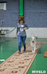 Выставка собак в Туле , Фото: 58