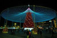 Глава администрации Тулы Илья Беспалов: «Загадывайте желания под нашей новой красавицей-ёлкой», Фото: 9