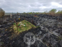 Сгоревшее кладбище в Алексине, Фото: 13