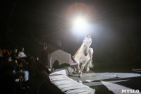 Премьера новогоднего шоу в Тульском цирке, Фото: 50
