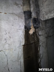 «Бассейн» из канализации под пятиэтажкой в Узловой: прокуратура начала проверку, Фото: 2