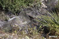Туляк: «Два месяца в Воронку льется канализация, но никто не реагирует», Фото: 2