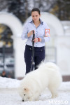 В Туле прошла Всероссийская выставка собак, Фото: 32