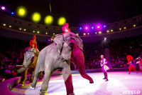 Цирк Инди Ра, Фото: 60