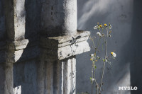 Всехсвятское кладбище, Фото: 6