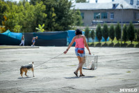 В Центральном парке Тулы проходит фестиваль помощи животным, Фото: 8