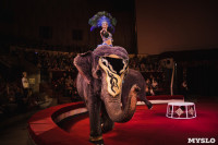 «Шоу Слонов» в Тульском цирке, Фото: 18