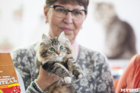 В Туле прошла выставка «Пряничные кошки» , Фото: 53