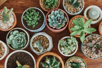 , Фото: 5
