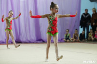 Соревнования «Первые шаги в художественной гимнастике», Фото: 45