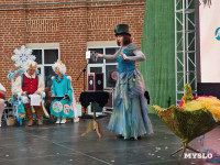 Фестиваль «Шар-папье»: Тульский кремль украсили огромные новогодние бусы, Фото: 30