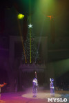 «Чудеса Новогодней Ёлки» ждут вас в Тульском цирке, Фото: 98