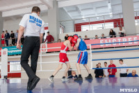 В Тульской области проходит областное первенство по боксу, Фото: 34