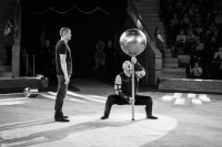 "Чудеса под Новый год" в Тульском цирке, Фото: 33
