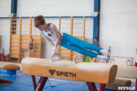 Мужская спортивная гимнастика в Туле, Фото: 8