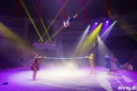 «Чудеса Новогодней Ёлки» ждут вас в Тульском цирке, Фото: 31