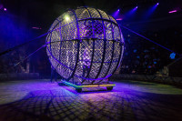 "Чудеса под Новый год" в Тульском цирке, Фото: 90