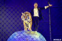 Премьера новогоднего шоу в Тульском цирке, Фото: 42