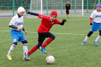 Кубок губернатора Тульской области по футболу , Фото: 80