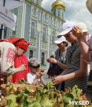 День славянской письменности и культуры. Тула, 24 мая 2015 , Фото: 42