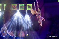 Цирковое шоу Жар птица, Фото: 59