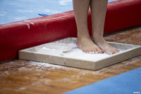 Всероссийские соревнования по спортивной гимнастике, Фото: 83