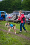 В Туле состоялись собачьи бега, Фото: 51