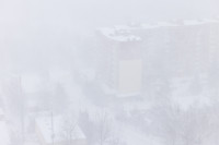 Тула в снежном плену: фоторепортаж с улиц города, Фото: 25